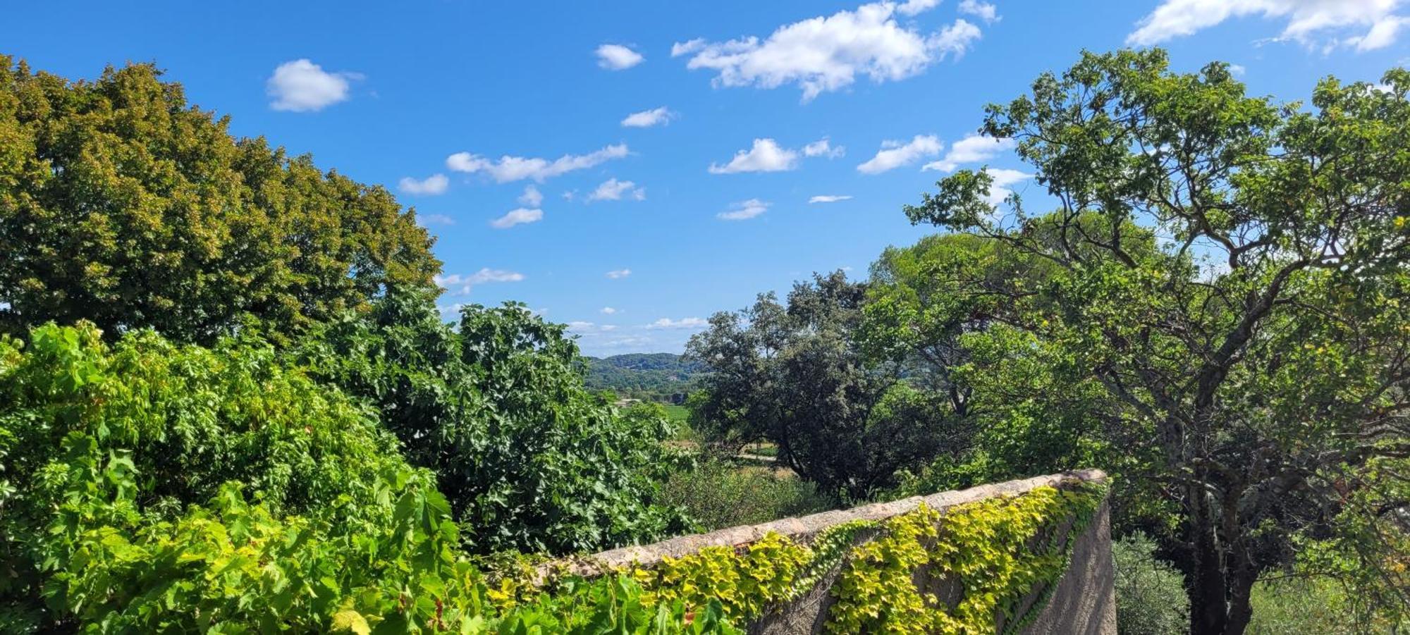 Tornac Le Domaine Du Soulier -Gite Et Chambres D'Hotes - La Maison Du Gardien מראה חיצוני תמונה