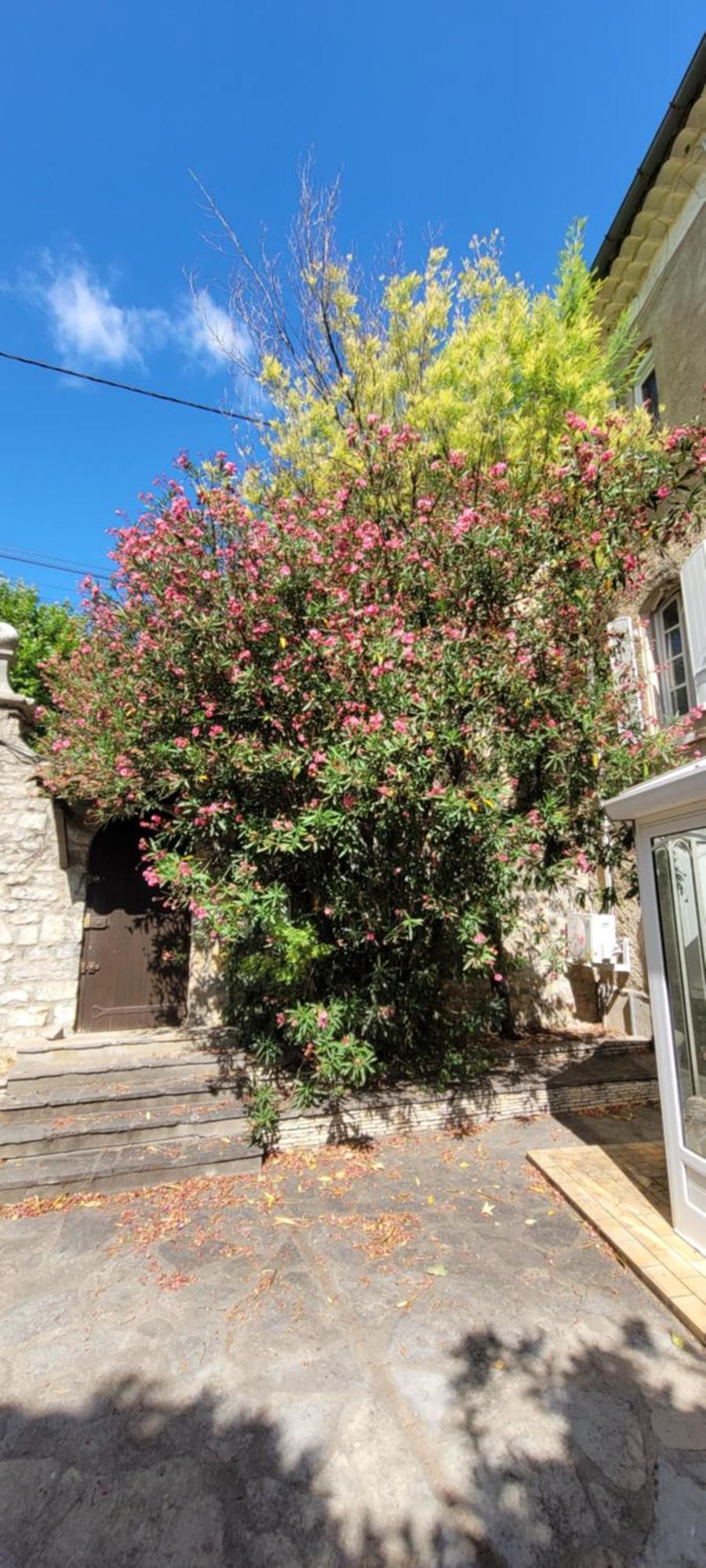 Tornac Le Domaine Du Soulier -Gite Et Chambres D'Hotes - La Maison Du Gardien מראה חיצוני תמונה